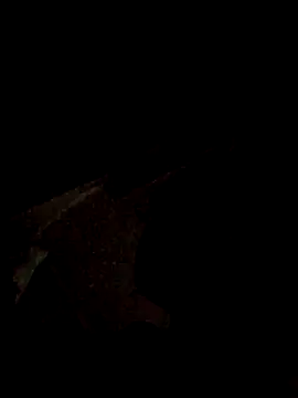 Musical__fantasy webcam