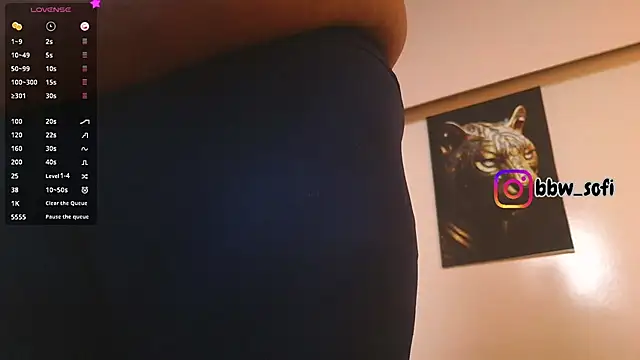 virtual_charm webcam
