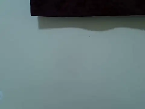 pointie_bloomy webcam