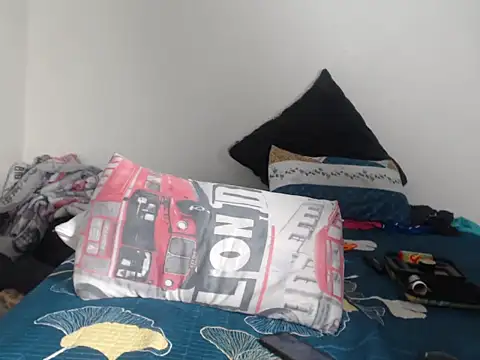 Lumi766 webcam