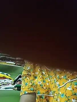 telugu_puvvu_mikosam webcam