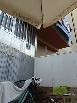 gladieitore webcam