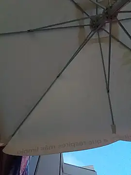 gladieitore webcam
