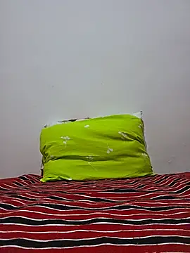 altinya webcam