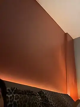 DarkDesin webcam