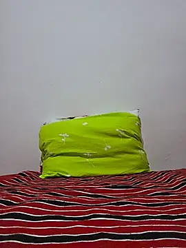 altinya webcam