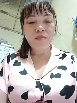 Sana-vn webcam