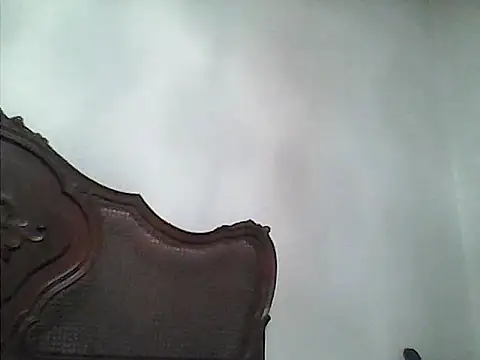 perlados webcam