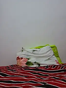 altinya webcam