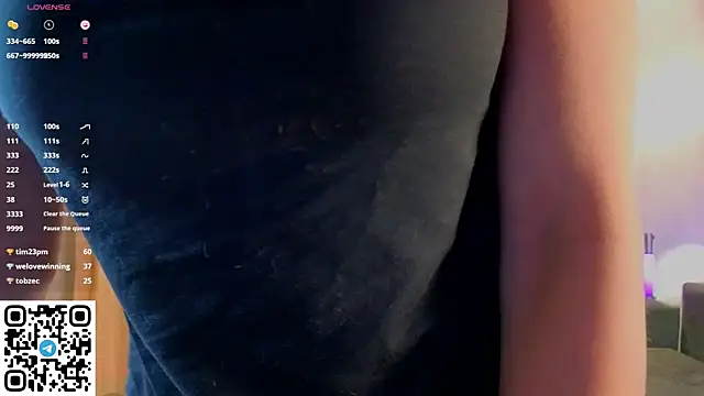 NerixalVire webcam