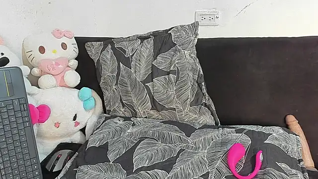 Eirlysx webcam