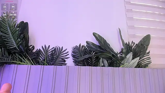 stephanymonroe live cam on StripChat