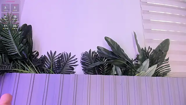 stephanymonroe webcam
