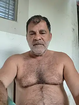 Peludo173317