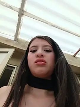 SALOME-28_ webcam