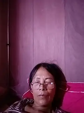 toyo_668 webcam