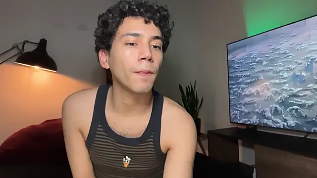 Noah_and_Steven webcam