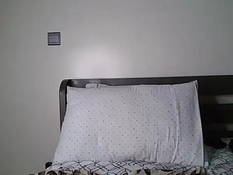 Alevic_ webcam