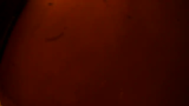Nydia_Levine webcam