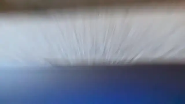 prankcaller webcam