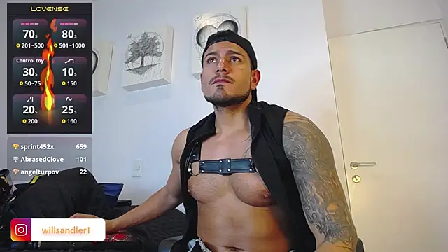 WillSandler webcam