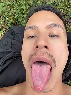 DominickSullivan live sex cam