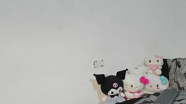 Eirlysx webcam