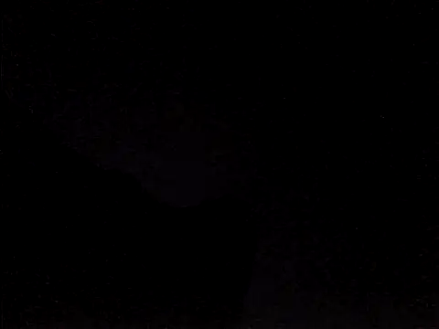 perlados webcam