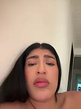 Misty-kat webcam
