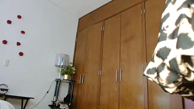 3littles webcam
