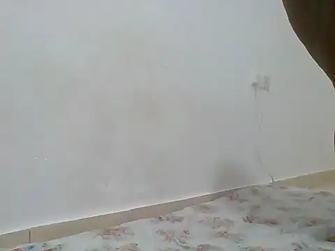 hotty_assy
