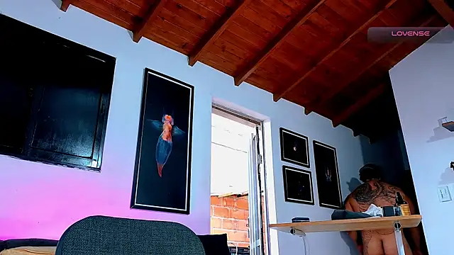 SilvaBranko webcam