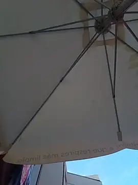 gladieitore