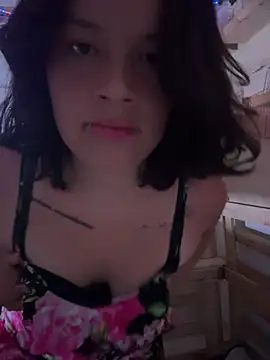 Leonixafrodita