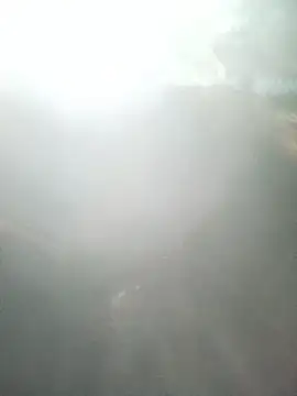 Cut_sweety67 webcam