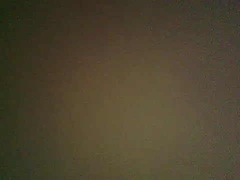 Yalamania webcam