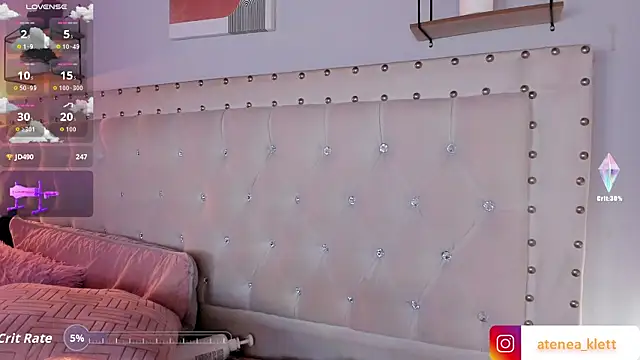Atenea_Klett_ webcam