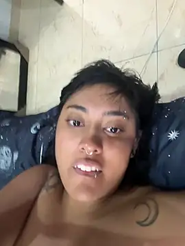 pawmistry webcam