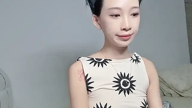 Lili-2 webcam