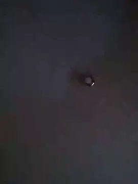 david799179 webcam