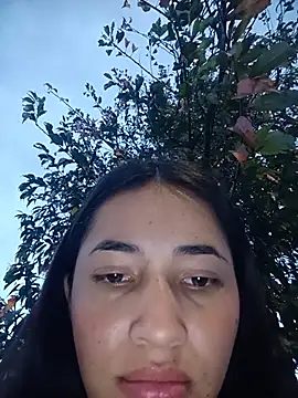 -Nicol webcam