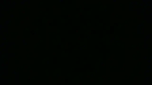 SamuelTal webcam