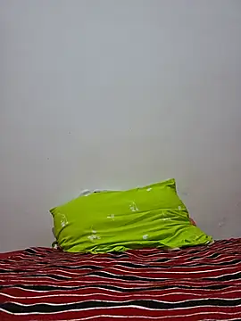 altinya webcam