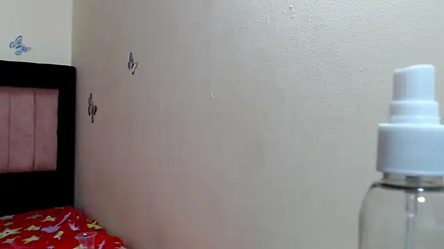 VICTORYXS1 webcam