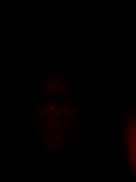 Casadocomputa live cam on StripChat