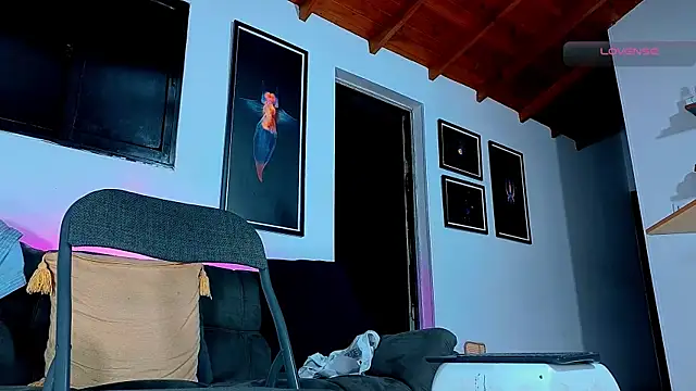 SilvaBranko webcam