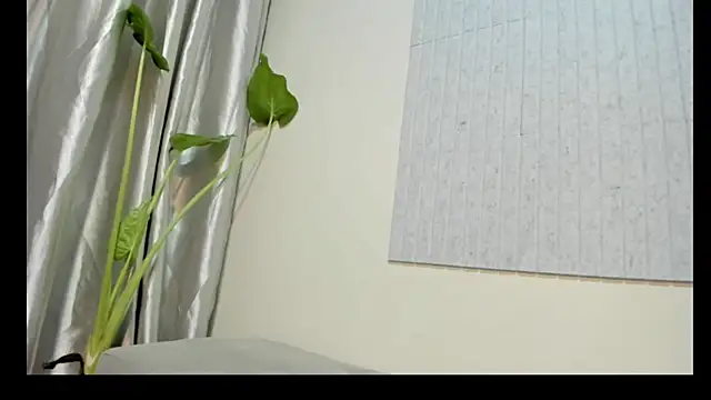 dani_spitia live cam on StripChat