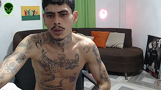 alpha_zom webcam
