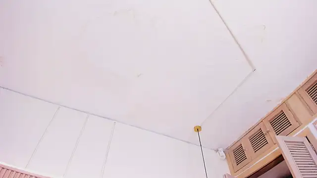 NahimiThompson webcam
