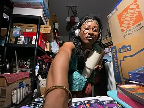 wynterheat webcam